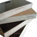 Film Face Plywood with stamp print with best quality